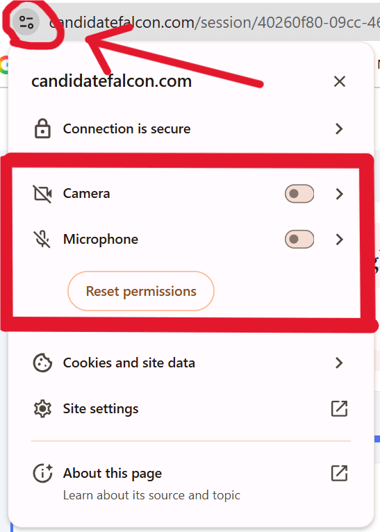 Both Camera and Microphone should be set to Allow.