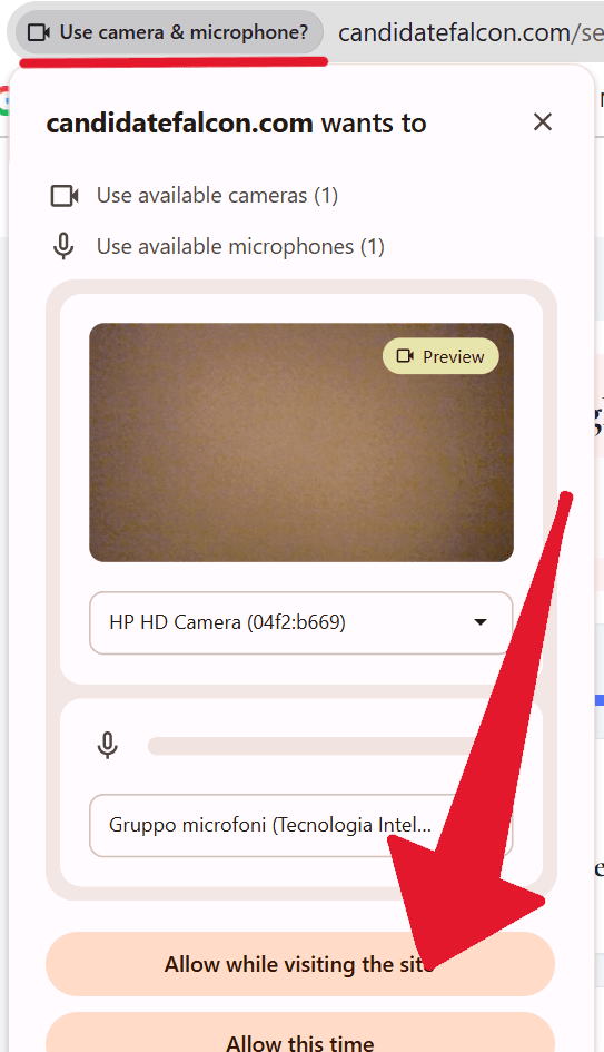 When you first open the interview, your browser usually asks for permission.